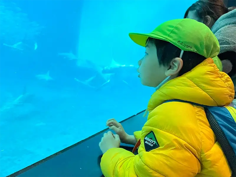 外出・レクリエーション等 写真